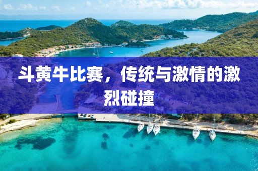 斗黄牛比赛，传统与激情的激烈碰撞