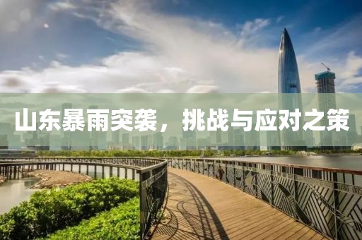 山东暴雨突袭，挑战与应对之策