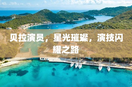 贝拉演员，星光璀璨，演技闪耀之路