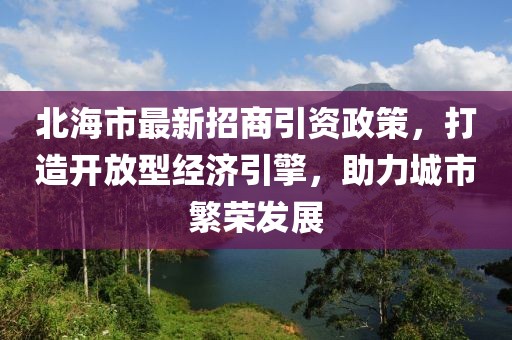 北海市最新招商引资政策，打造开放型经济引擎，助力城市繁荣发展