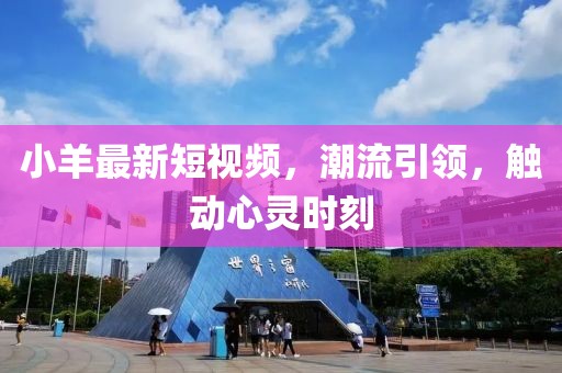 小羊最新短视频，潮流引领，触动心灵时刻