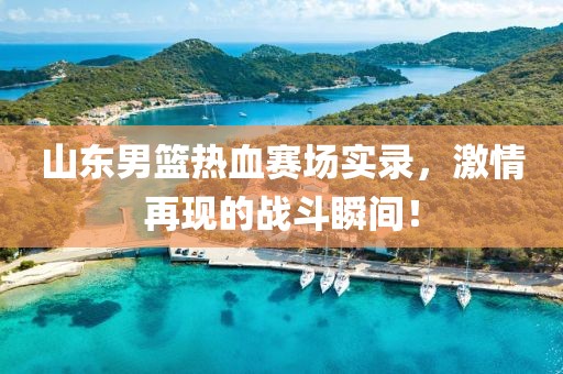 山东男篮热血赛场实录，激情再现的战斗瞬间！