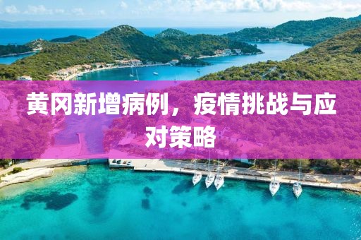 黄冈新增病例，疫情挑战与应对策略
