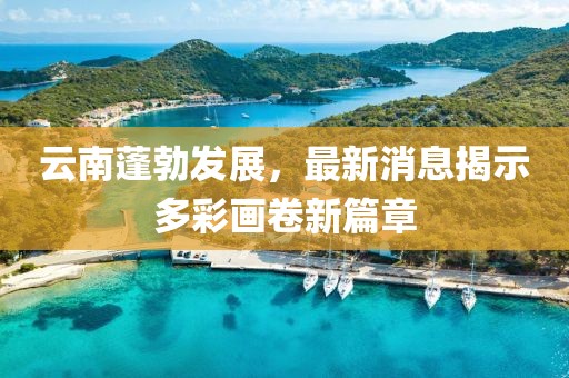 云南蓬勃发展，最新消息揭示多彩画卷新篇章