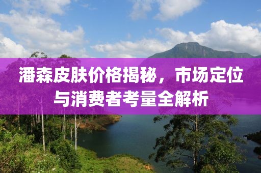 潘森皮肤价格揭秘，市场定位与消费者考量全解析