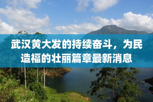 武汉黄大发的持续奋斗，为民造福的壮丽篇章最新消息