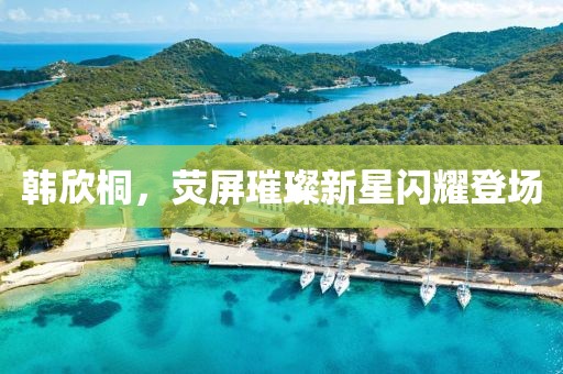 韩欣桐，荧屏璀璨新星闪耀登场