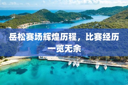 岳松赛场辉煌历程，比赛经历一览无余
