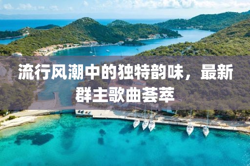 流行风潮中的独特韵味，最新群主歌曲荟萃