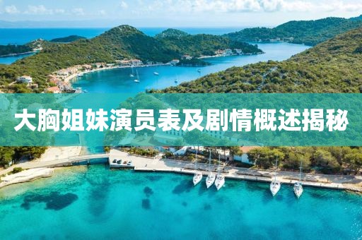 大胸姐妹演员表及剧情概述揭秘