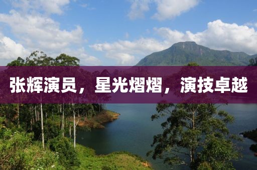 张辉演员，星光熠熠，演技卓越
