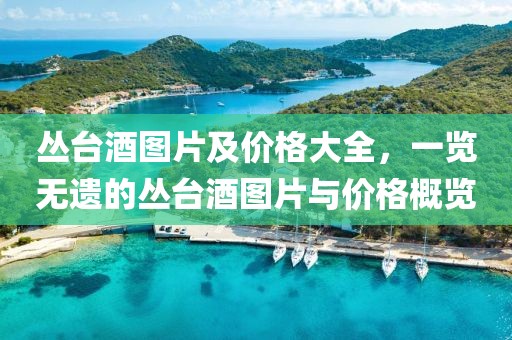 丛台酒图片及价格大全，一览无遗的丛台酒图片与价格概览
