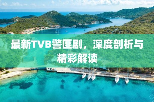 最新TVB警匪剧，深度剖析与精彩解读