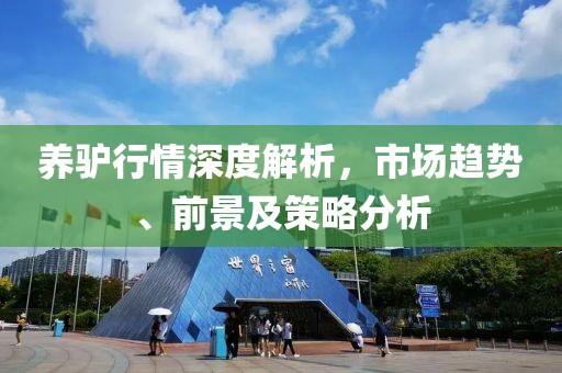 养驴行情深度解析，市场趋势、前景及策略分析