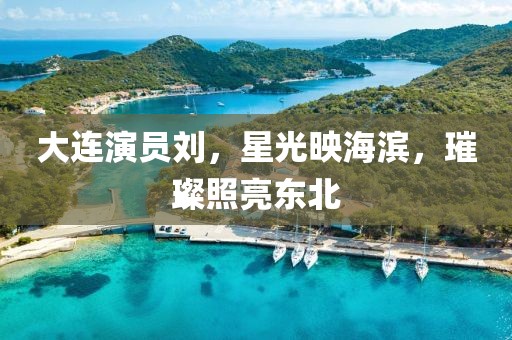 大连演员刘，星光映海滨，璀璨照亮东北