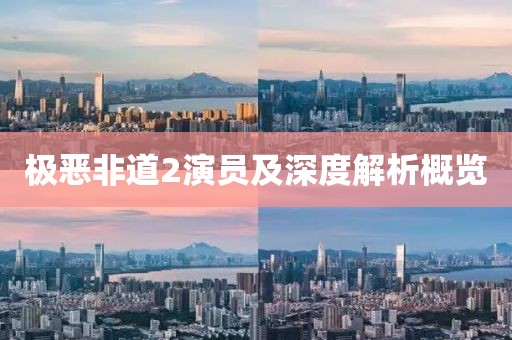 极恶非道2演员及深度解析概览