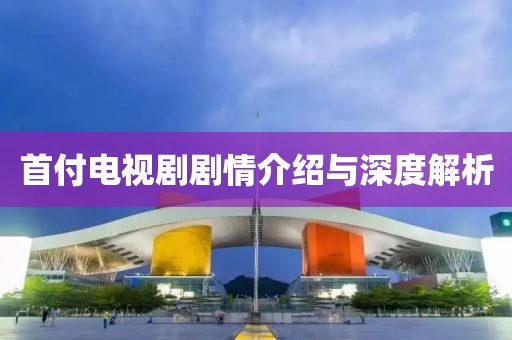 首付电视剧剧情介绍与深度解析