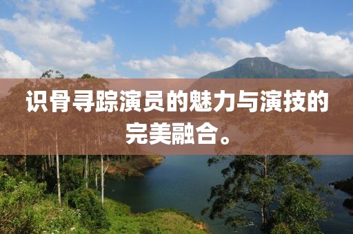 识骨寻踪演员的魅力与演技的完美融合。