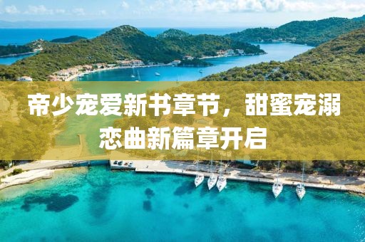 帝少宠爱新书章节，甜蜜宠溺恋曲新篇章开启