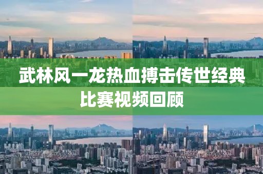 武林风一龙热血搏击传世经典比赛视频回顾
