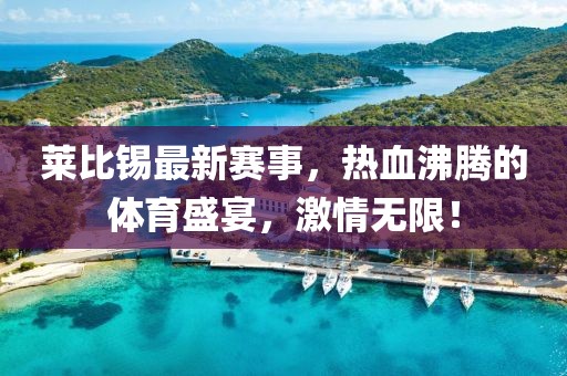 莱比锡最新赛事，热血沸腾的体育盛宴，激情无限！