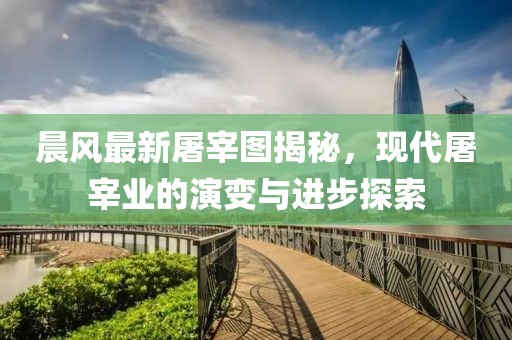 晨风最新屠宰图揭秘，现代屠宰业的演变与进步探索