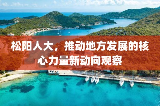 松阳人大，推动地方发展的核心力量新动向观察
