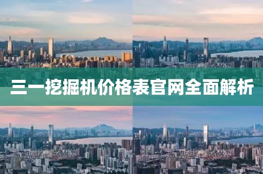 三一挖掘机价格表官网全面解析