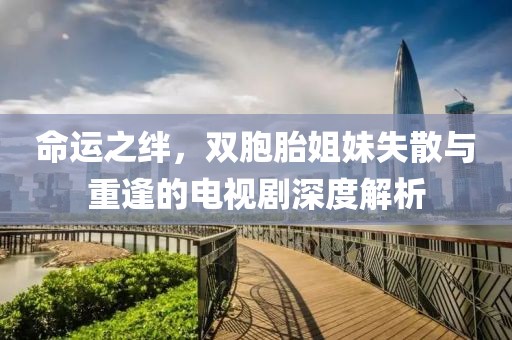 命运之绊，双胞胎姐妹失散与重逢的电视剧深度解析