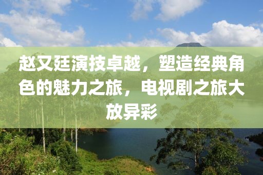 赵又廷演技卓越，塑造经典角色的魅力之旅，电视剧之旅大放异彩