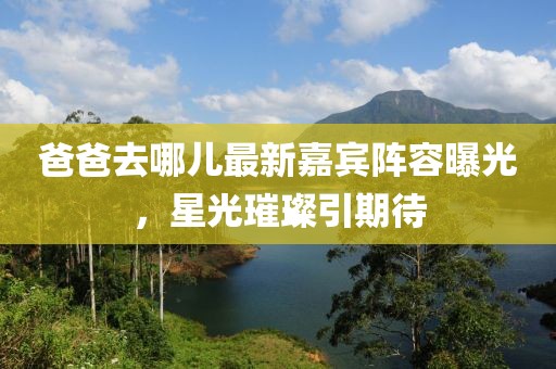 爸爸去哪儿最新嘉宾阵容曝光，星光璀璨引期待