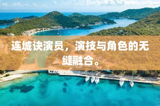 连城诀演员，演技与角色的无缝融合。