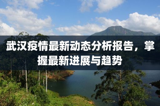 武汉疫情最新动态分析报告，掌握最新进展与趋势