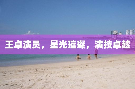 王卓演员，星光璀璨，演技卓越