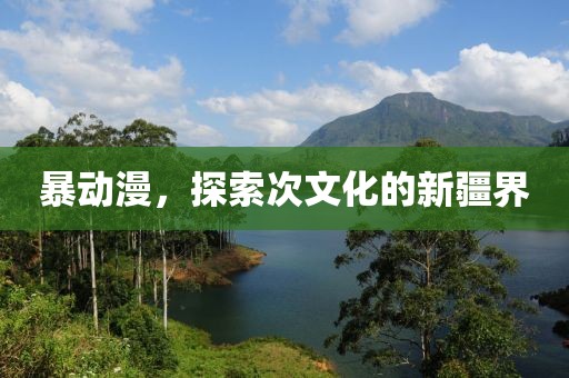暴动漫，探索次文化的新疆界