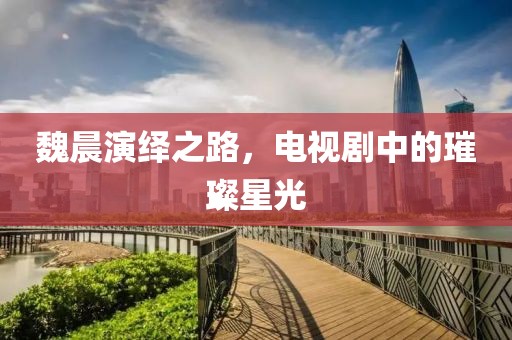 魏晨演绎之路，电视剧中的璀璨星光
