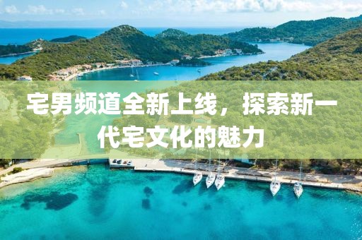 宅男频道全新上线，探索新一代宅文化的魅力