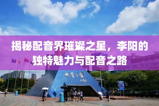 揭秘配音界璀璨之星，李阳的独特魅力与配音之路