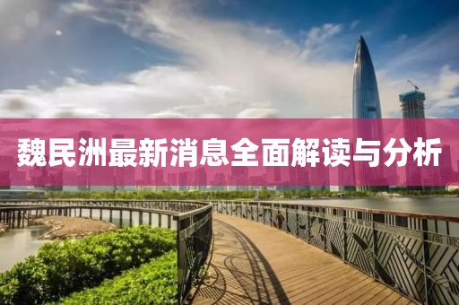 魏民洲最新消息全面解读与分析