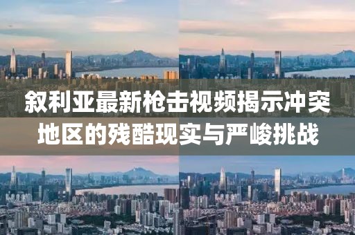 叙利亚最新枪击视频揭示冲突地区的残酷现实与严峻挑战