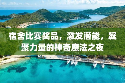宿舍比赛奖品，激发潜能，凝聚力量的神奇魔法之夜