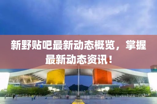 新野贴吧最新动态概览，掌握最新动态资讯！