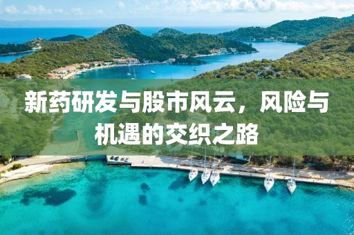 新药研发与股市风云，风险与机遇的交织之路