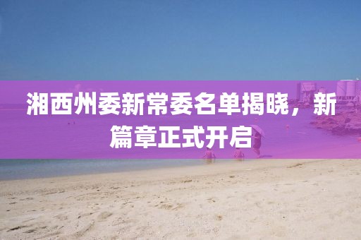关于我们 第555页