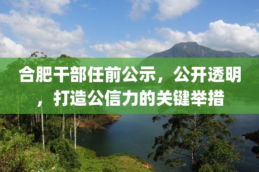 合肥干部任前公示，公开透明，打造公信力的关键举措