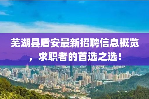 芜湖县盾安最新招聘信息概览，求职者的首选之选！