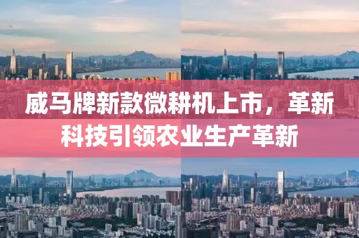 威马牌新款微耕机上市，革新科技引领农业生产革新