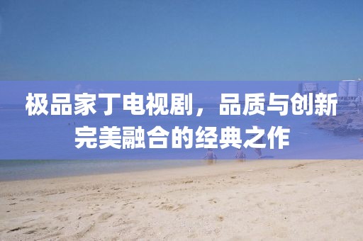 极品家丁电视剧，品质与创新完美融合的经典之作