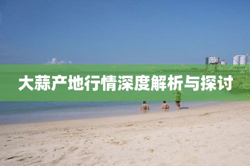 大蒜产地行情深度解析与探讨