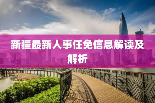 新疆最新人事任免信息解读及解析